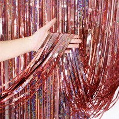 Metallics Foil Fringe Curtain Tinsel Kid Birthday Party Decor Wedding Home