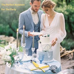 Cake Cutting Knife Set for Wedding, 2Pcs Elegant Thickened Stainless Steel