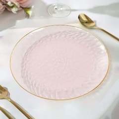 TRANSPARENT BLUSH 10 Glossy 10″ Round Plastic Salad PLATES GOLD Rim Party Events