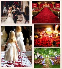 2000 Pieces White Artificial Silk Rose Flower Petals Wedding Party Decorations