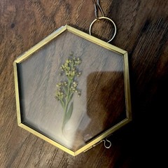 Vintage Hanging Hexagon Pressed Flower Photo Keepsake Frame, 3.5”