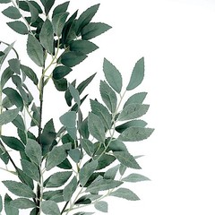 2 Dark Frosted Green 42″ Artificial Honey Locust Leaves Sprays Stems Party Home
