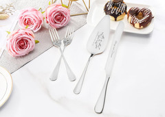 Wedding Cake Knife and Server Set, Silver Cake Cutting Set for Wedding, 4 Pieces