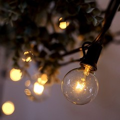 25 feet Warm White 28 Incandescent Bulbs STRING LIGHTS GARLAND Party Supplies
