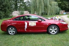 Decorative Car Magnet for Honeymoon or Wedding, Just Married, 14 x 9.5-Inch,
