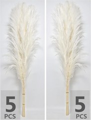 10 Stems 46″ inch White Ppas Grass Decor Tall, Lar Pompas Grass, Boho