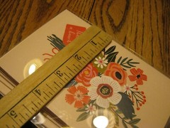 Tree Free Greetings 12 Count Vibrant Thanks a bunch Notecard Set Envelopes 4″x6″
