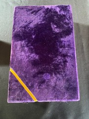 Silver Plated Champagne Flutes X 2, Purple Velvet Box