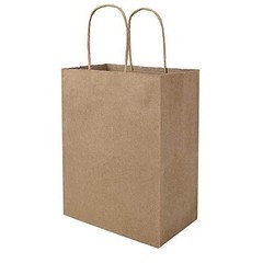 100 Pack 8×4.75×10 inch Plain Medium Paper Brown Kraft Bags with Handles Bulk