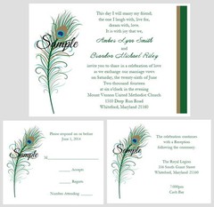 100 Personalized Custom Peacock Feathers Bridal Wedding Invitations Set