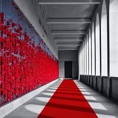 Red Carpet Runner for Party, 2.6X15 ft, 130 GSM Felt Non-Woven Fabric, Hollyw…