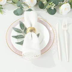 TRANSPARENT BLUSH 10 Glossy 10″ Round Plastic Salad PLATES GOLD Rim Party Events