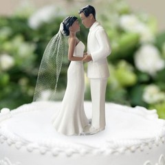 Wedding Bride and Groom Cake Topper Romantic Couple Figurine Cake Plastic Topper