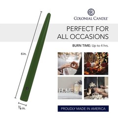 Colonial Candle Unscented Taper Candle Handipt Collection Evergreen 6 In Pack