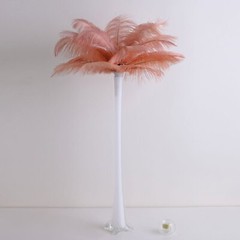 12 pcs 13-15″ long Mauve Genuine Ostrich FEATHERS Wedding Party Centerpieces