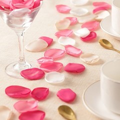 200Pieces Polyester Fabric Artificial Rose Petals For Anniversary And Proposals