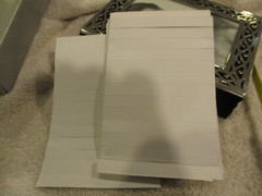 100 Photo Album Pierced Silverplated by Royal Limited 4 X 6 NICE