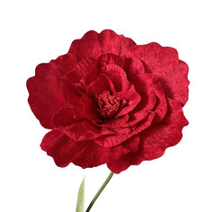 Giant Velvet Peony Flower 60cm Luxury Wedding Backdrop Floral Wall