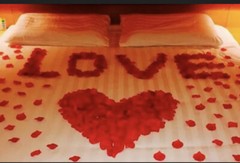 300 Red Rose Petals Fabric Fake Rose Petals Wedding Party Decoration Valentines