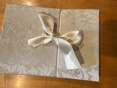 Elegant Cream Satin Wedding Photo Keepsake Album w/ Tied Bow & 24 White pages