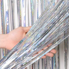 Metallics Foil Fringe Curtain Tinsel Kid Birthday Party Decor Wedding Home