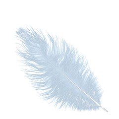 12 pcs 13-15″ long Dusty Blue Genuine Ostrich FEATHERS Wedding Party