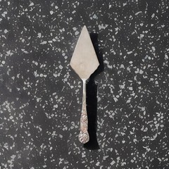 Vintage Prill Silver Plated Cake/Pie Knife Serving Floral Design 12”