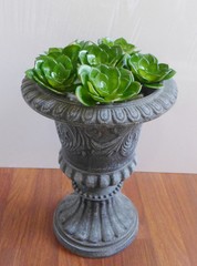 Artificial Small Snow Lotus Plastic Plants Succulents Green Grass One Set of 6
