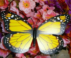 3D Colorful Artificial Butterflies Dummy Craft Wedding Party Floral Decor Gift*1