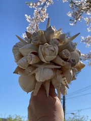 Natural Seashell Wedding Bouquet, Forever Keepsake, Beautiful One Of A Kind