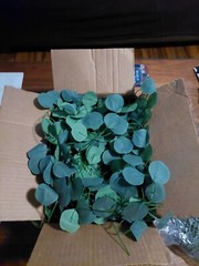 Wedding decor: Eucalyptus Garlands and Mr & Mrs signage