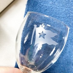 Set of Etched Glass Wedding Texas Lone Star State Champagne Wedding Goblets