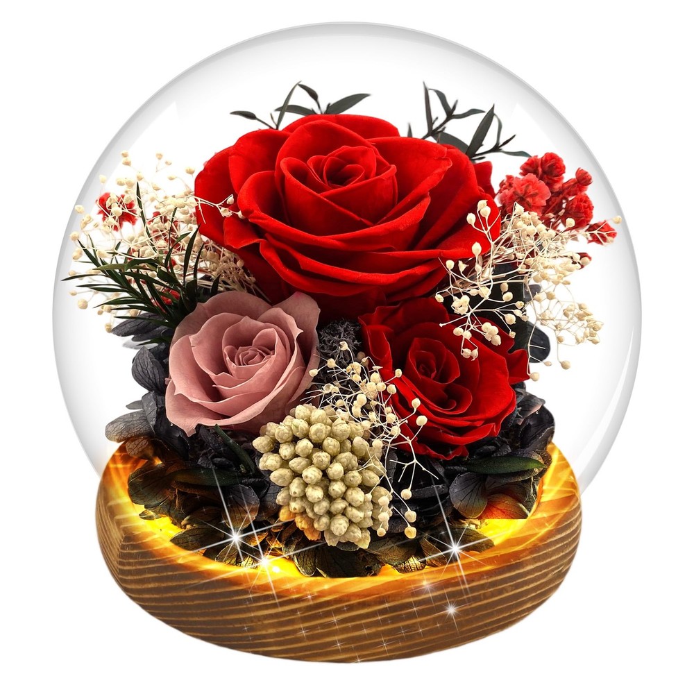 Red Rose Mothers Day Gifts for Mom Forever Flowers D3-