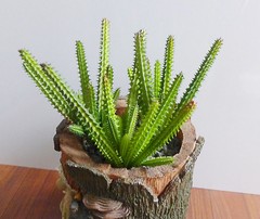 2 Pcs Artificial Small Cactus Column Plants Succulents Grass