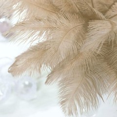 12 pcs 13-15″ long Beige Genuine Ostrich FEATHERS Wedding Party Centerpieces
