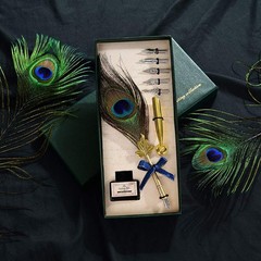 Peacock Feather Pen Set Antique Calligraphy Writing Quill Ink Dip Pen with Ho…
