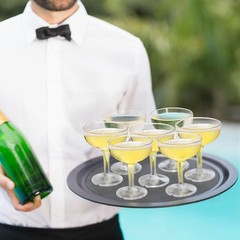Peohud Set of 20 Coupe Cocktail Glasses, 5 Oz Small Acrylic 5.1 Ounces, Clear