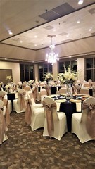 Obstal 50 Pcs Red Satin Chair Sashes Bows For Wedding Reception- Universal