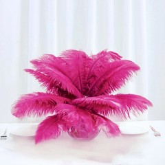 12 pcs 13-15″ long Fuchsia Genuine Ostrich FEATHERS Wedding Party Centerpieces