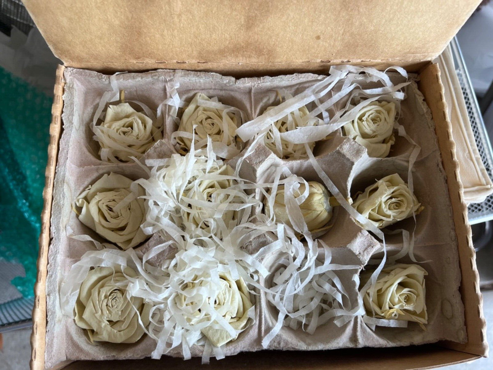 Rose buds in boxes 12 each real ivory roses preserved but still feel fresh