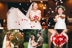 1000 Wedding Silk Rose Petals Heart Shaped Blue sky, Petals & Garlands, Rose Pet