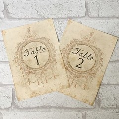 Vintage Style Wedding Table Numbers Names Cards – Shabby Chic Antique Frame Goth