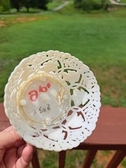Vintage Mid Century 1950s Wedding Cake Topper Plastic 7″ Coast Novelty 1959
