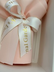 Preserved Rose Bouquet-Three Piece Rose /Newltem