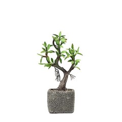 9-Inch tall Brown Concrete Planter Pot Green Artificial Mini Willow Tree
