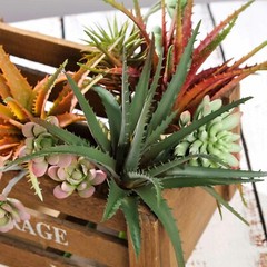 Orange Burgundy Green 12″ Aloe Faux Succulent Sprays Stems Wedding Centerpieces