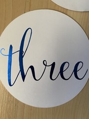 Table Numbers – 5 Total-#1-2-3-4-5 Blue Used- 5.5” Across