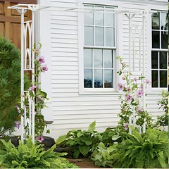 Strong Metal Garden Arbor Freestanding Wedding Trellis Archway Plant Vine Gate