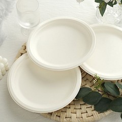 50 Round 9″ White Bagasse Sustainable Dinner Plates Party Tableware Decorations
