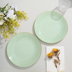 SAGE GREEN 10 Glossy 8″ Round Plastic Salad PLATES Gold Rim Party Events